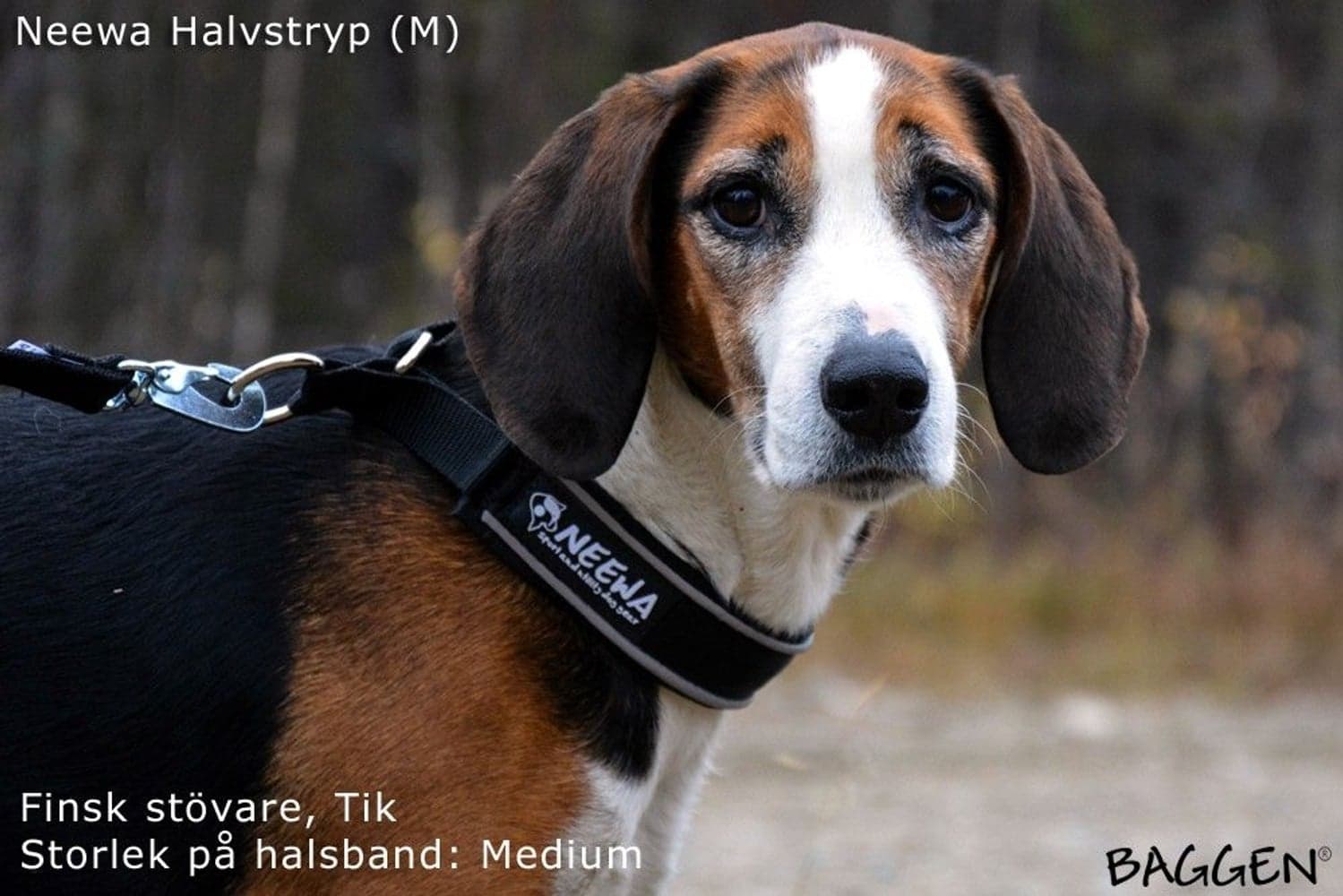 puolikuristava panta, keltainen, view: 4