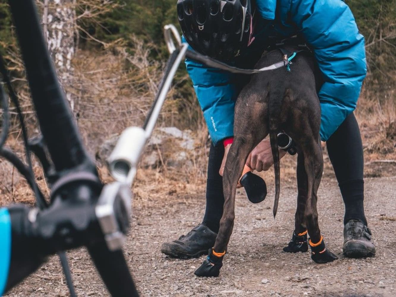 Non-stop Dogwear Protector koirantossut, 4kpl XL, view: 3