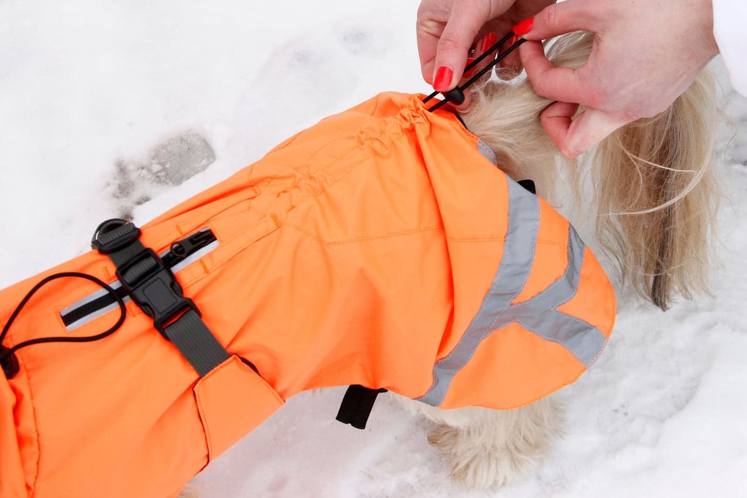 Ohto Dog Wind Jacket koiran tuulitakki, 35 cm, oranssi, view: 8