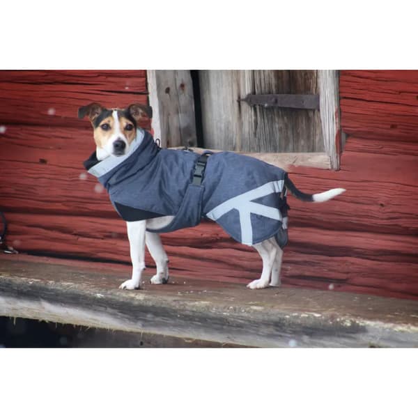 Luosto Dog Winter Jacket 35 cm Coil, view: 5