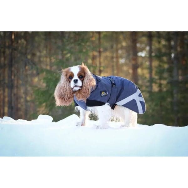 Luosto Dog Winter Jacket 35 cm Coil, view: 6