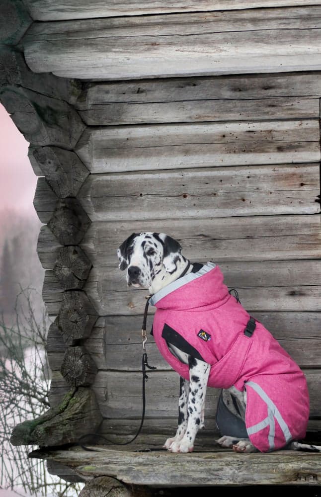 Luosto Dog Winter Jacket koiran talvitakki, 45 cm, pinkki, view: 6