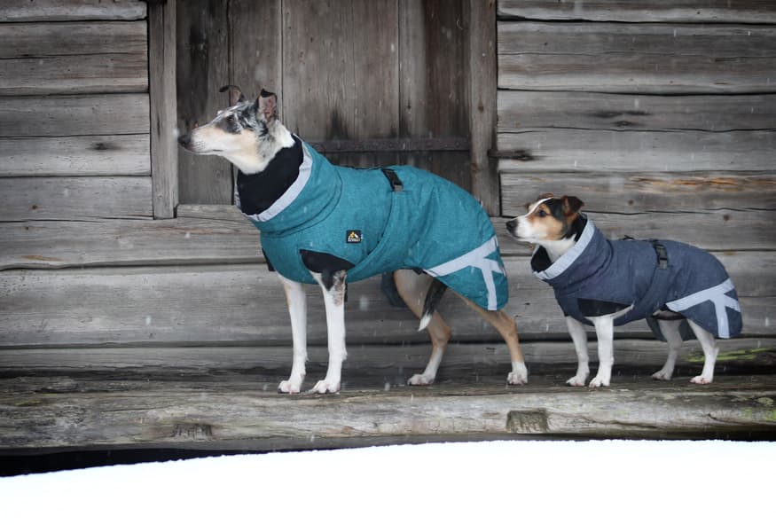 Luosto Dog Winter Jacket koiran talvitakki, 40 cm, petrooli, view: 5