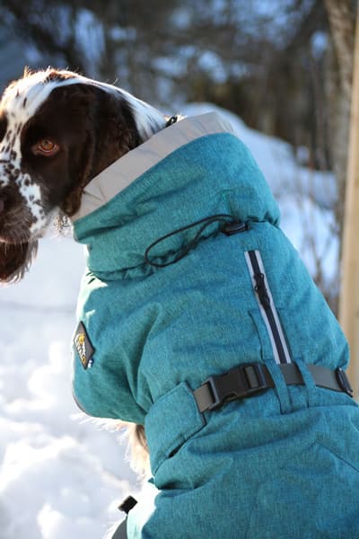 Luosto Dog Winter Jacket koiran talvitakki, 50 cm, petrooli, view: 6
