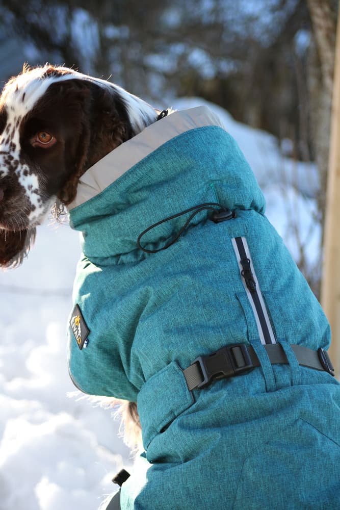 Luosto Dog Winter Jacket koiran talvitakki, 55 cm, petrooli, view: 6
