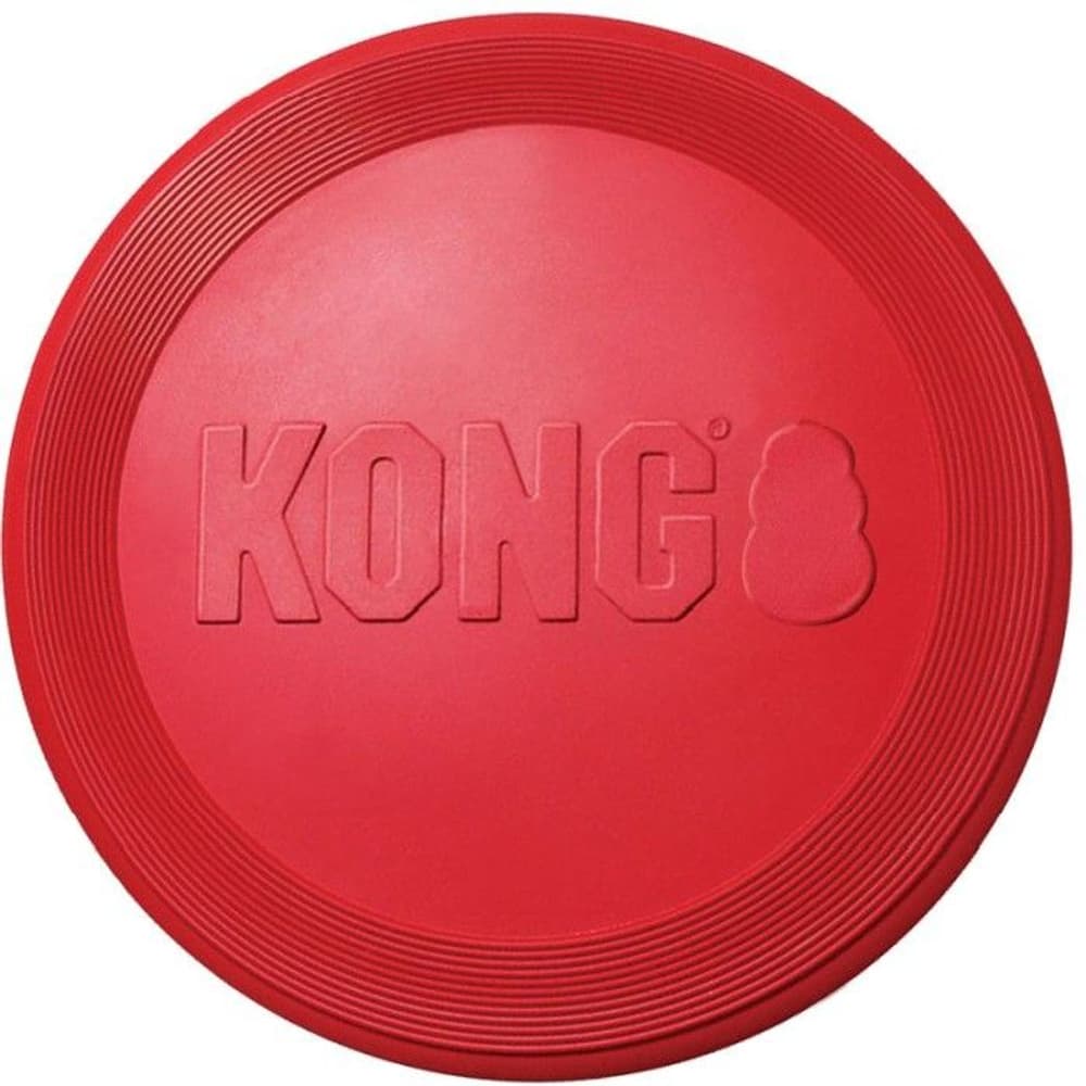 Flyer Frisbee L, view: 0