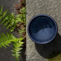 Suova 20 Blue - view: 2