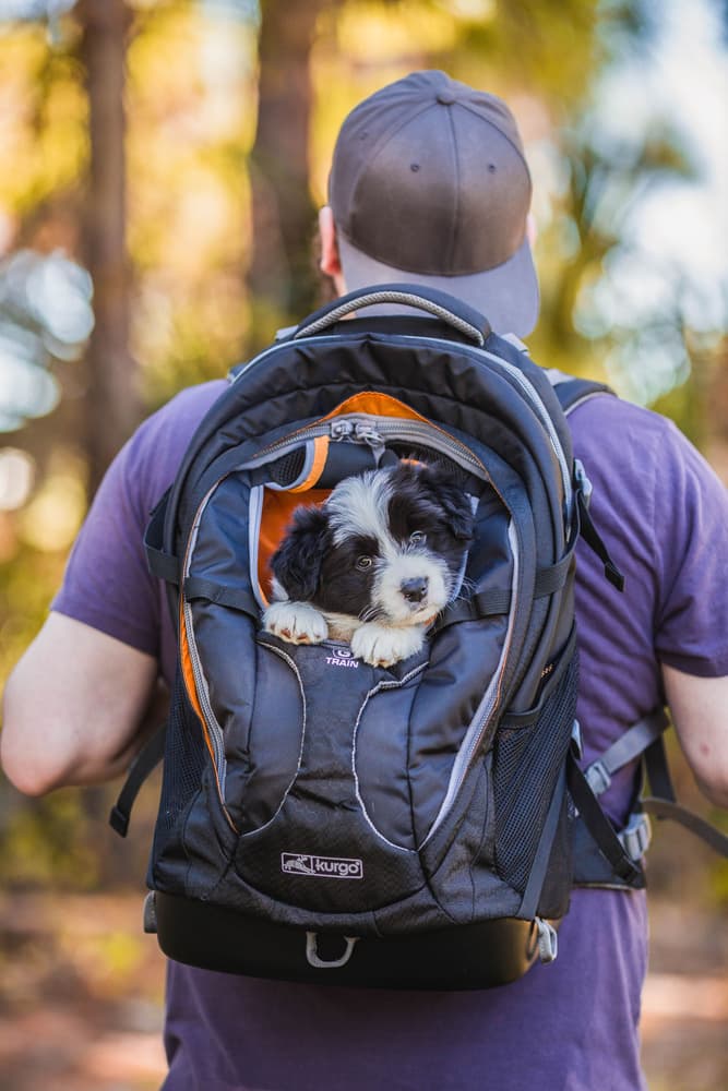 G Train Pack kuljetusreppu, tummansininen, view: 0