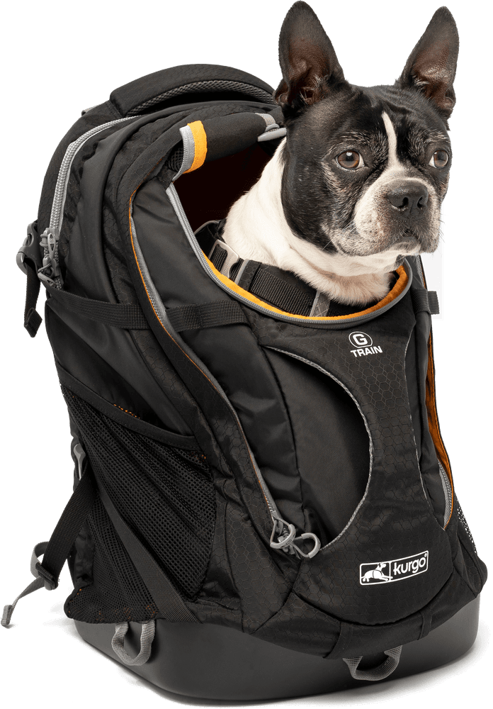 G Train K9 Pack Black, view: 0