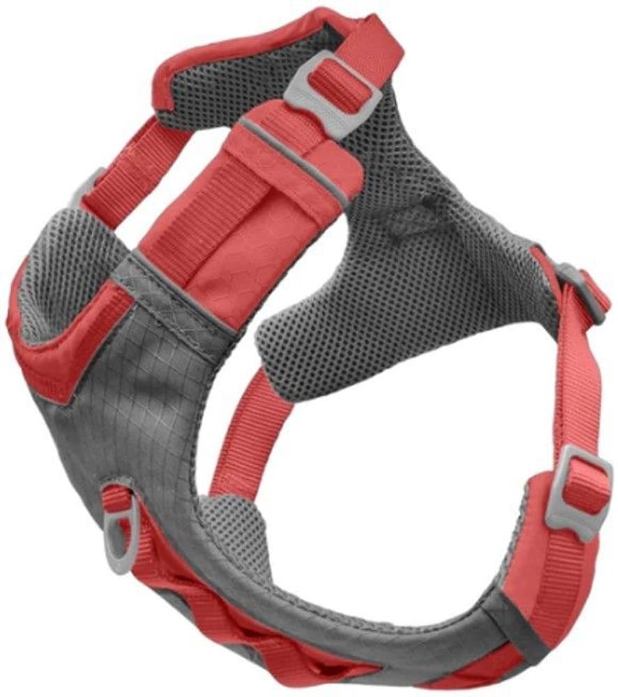 Journey Air Harness koirien valjaat, Coral, view: 0