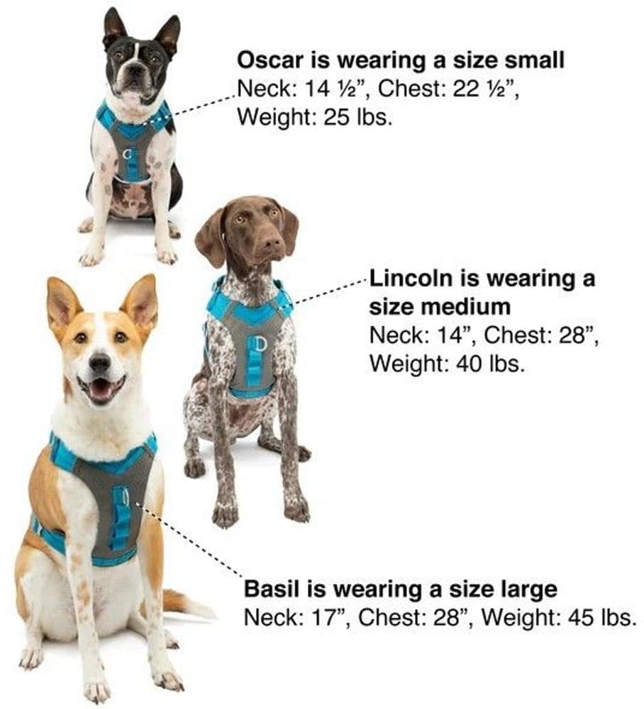 Journey Air Harness koirien valjaat, Coral, view: 7