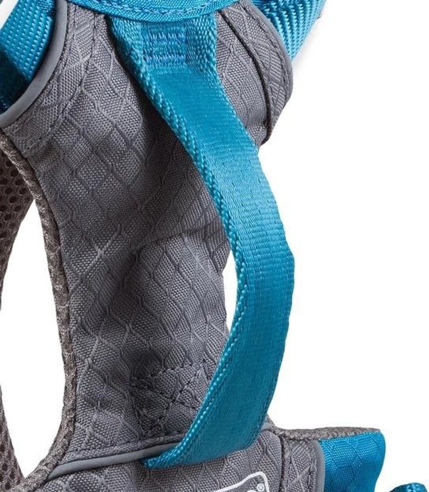 Journey Air Harness koirien valjaat, Coral, view: 4