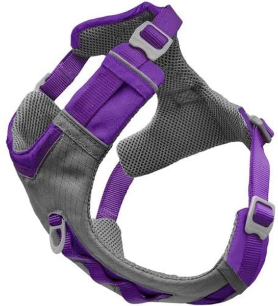 Journey Air Harness koirien valjaat, Purple, view: 0