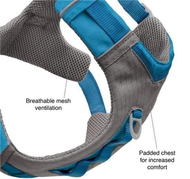 Journey Air Harness koirien valjaat, Purple, view: 2