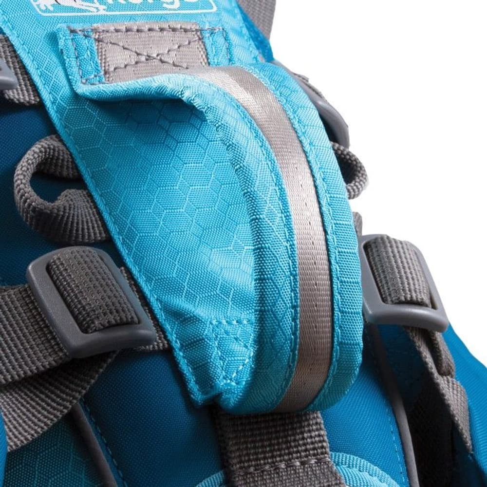 Baxter koiran reppu, sininen, view: 4