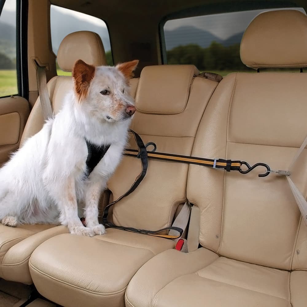 Auto Zip Line turvavyönkiinnike hihnalla, musta/oranssi, view: 3