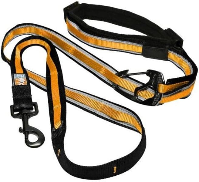 Quantum Leash Reflect & Protect monitoimitalutin, kullankeltainen, view: 0
