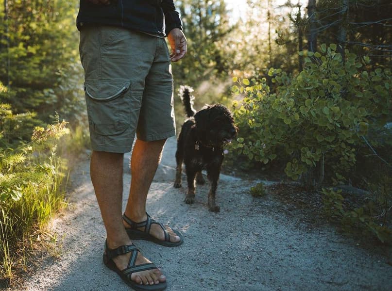 Ambush Cargo Shortsit 12'', harmaa camo, view: 2