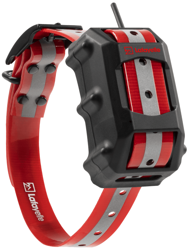 GPS C4 GSM/LTE koiratutka, view: 0