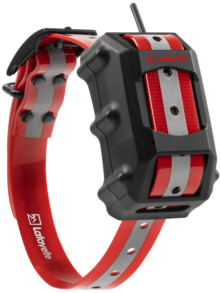 GPS C4 GSM/LTE koiratutka, view: 0