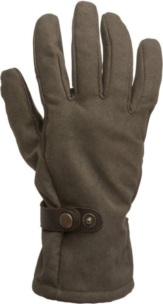 Edmonton käsineet, ruskea, view: 0