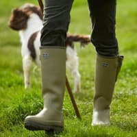 Vierzonord -kumisaapas - view: 2