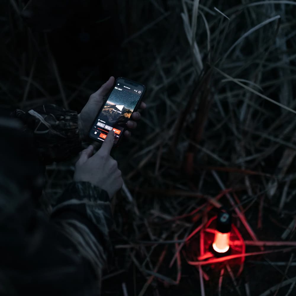 ML6 Connect Warm Light valolyhty, musta, view: 8