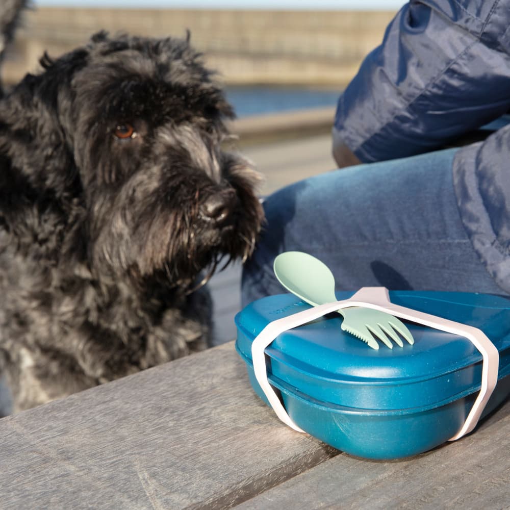 Harness BIO -kiinnityskuminauha, Shady Green, view: 2