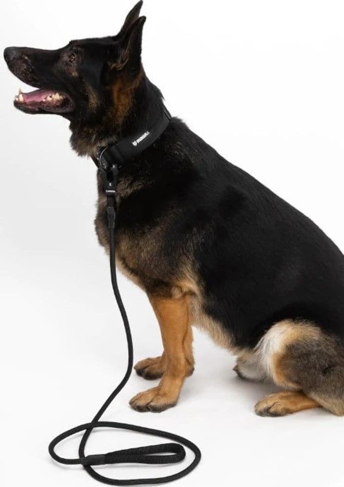 Köysitalutin, musta, view: 1