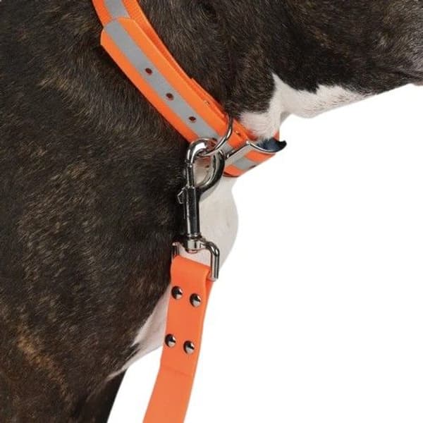 Training Leash leveämpi jälkiliina, view: 1