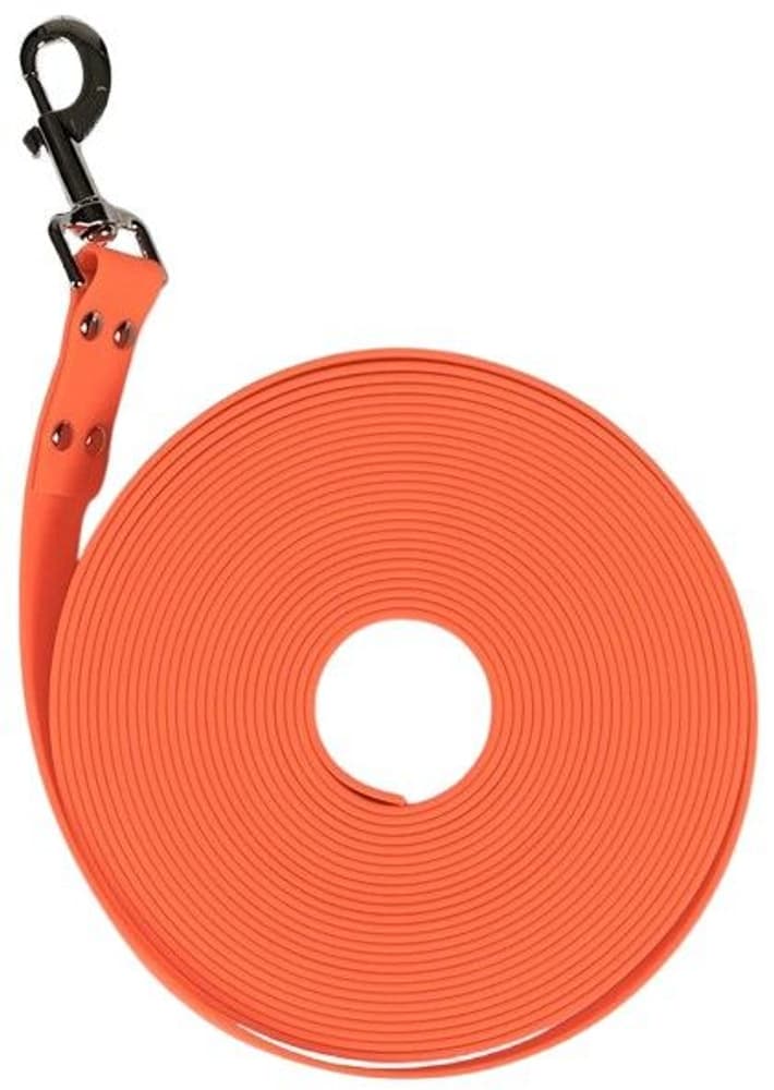 Leveä harjoitushihna, view: 0