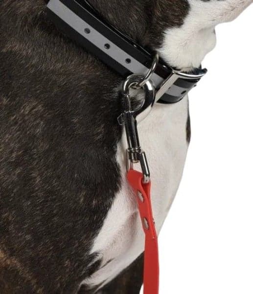 Training Leash Narrow jälkiliina, view: 1