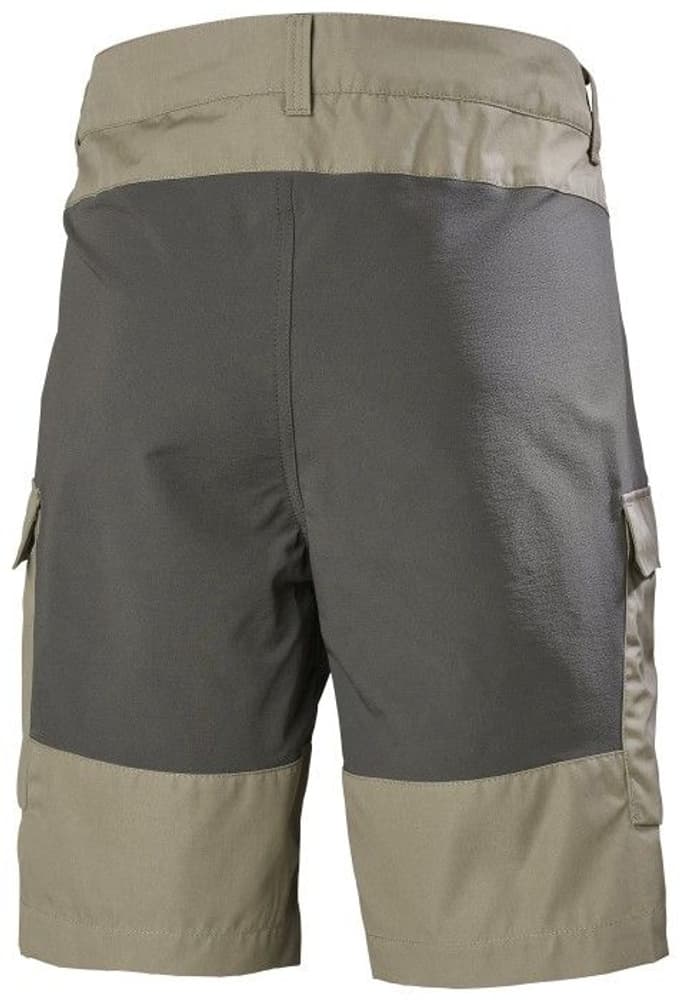 Vandre Cargo shortsit, Fallen Rock, view: 1