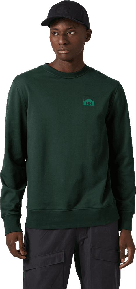 Nord Graphic Crew Sweatshirt paita, tummanvihreä, view: 2