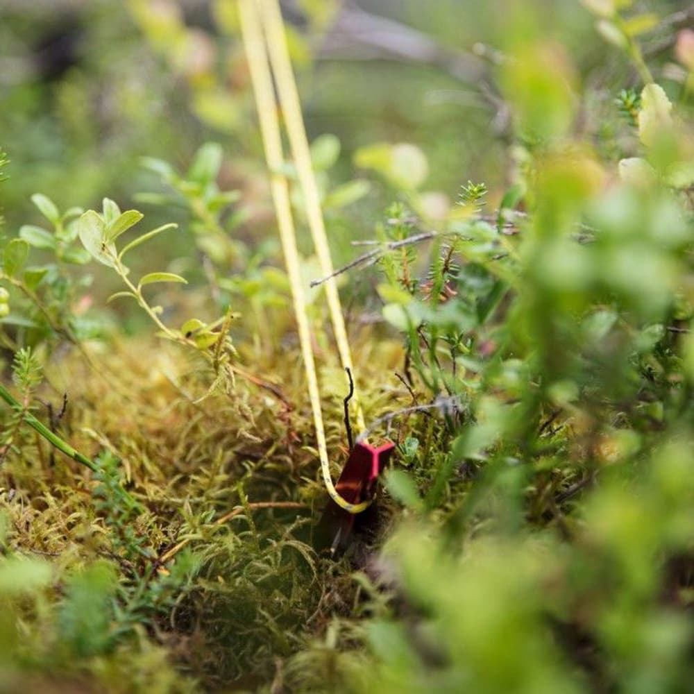 Pegs 15 cm 10 pcs -telttakiilat, view: 2