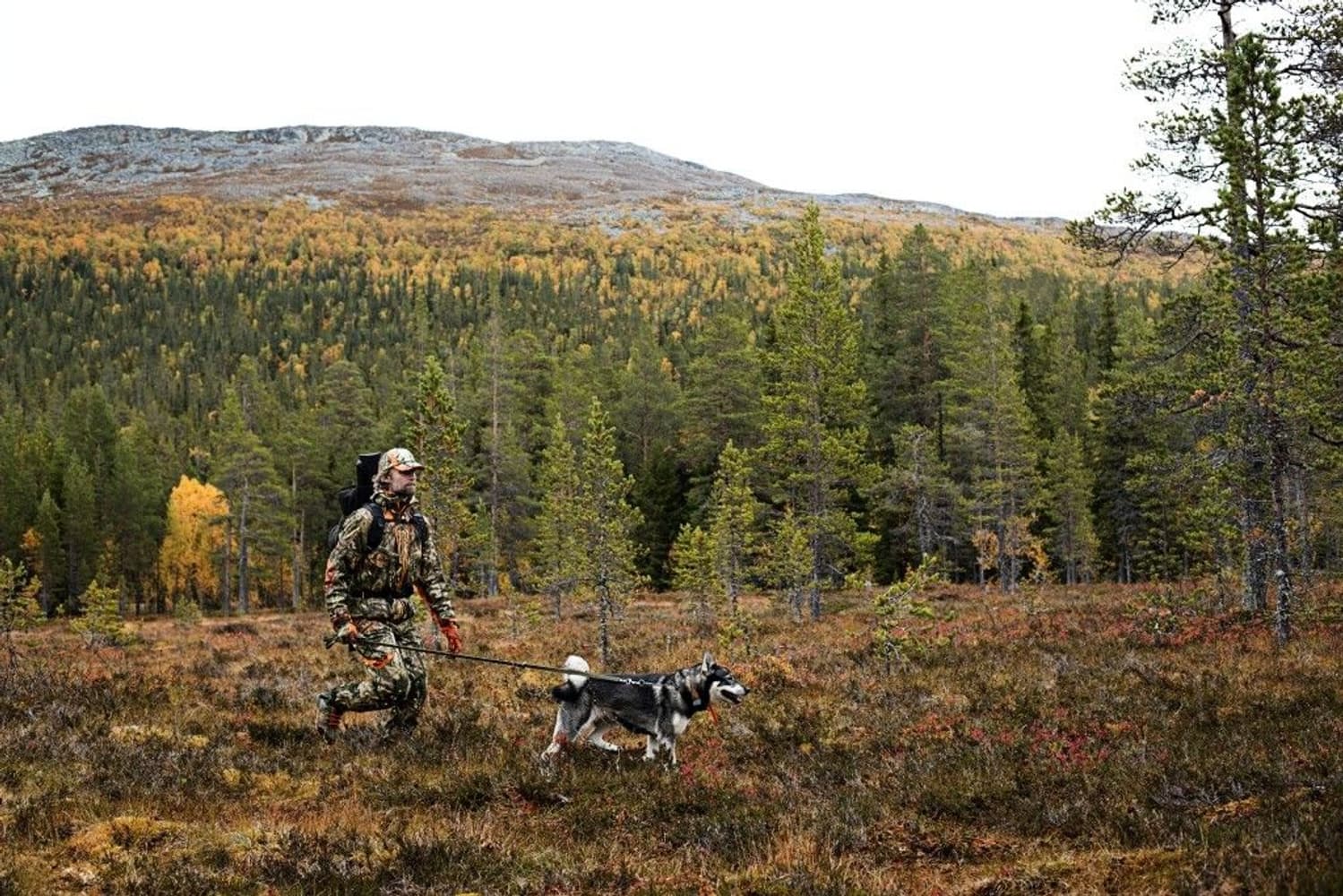 Moose Hunter Takki Mossy Oak Break-Up Country/MossyOak OrangeBlaze, view: 6