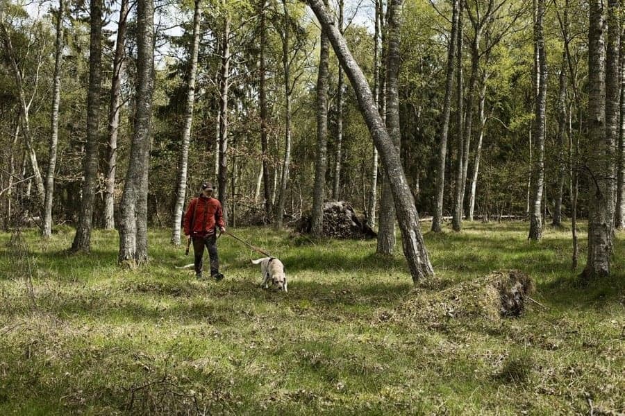 Kamko Windstopper -fleecetakki, punainen/ruskea, view: 6