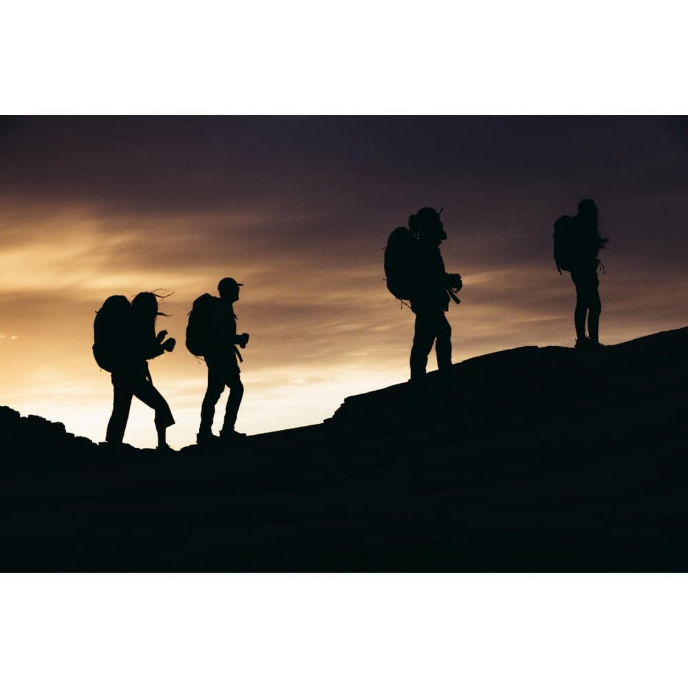 M's Stout 70L Plus Forest Black, view: 7