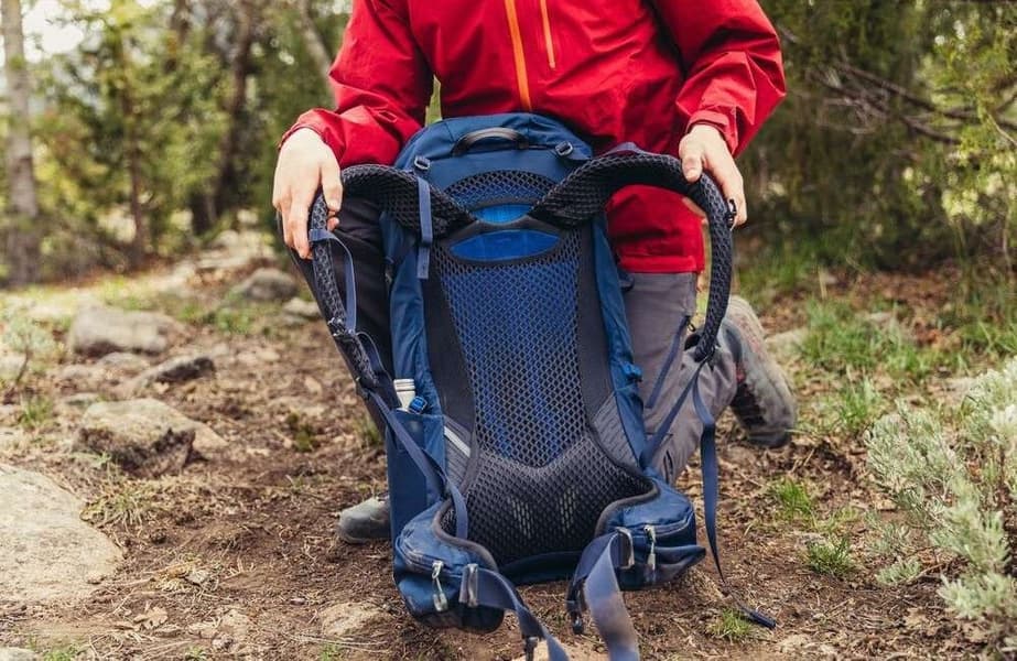 Zulu 40L Forage Green, productDetailPage.view: 3