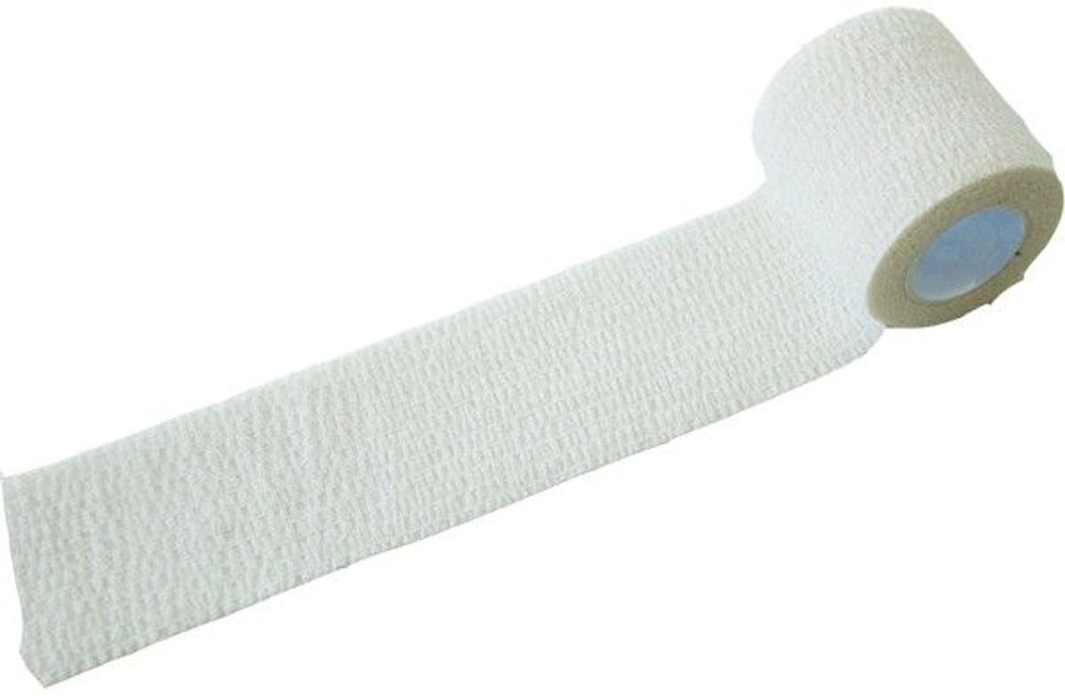 Stabilotherm-camoteippi, Snow, view: 0