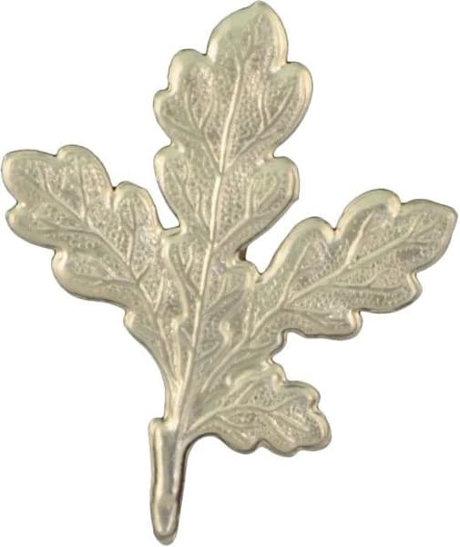 -trofeekoriste, tammenlehti, view: 0