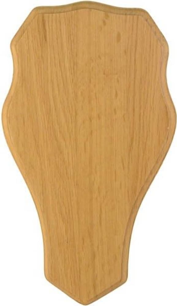 -peuratrofeen taustalevy, 33 x 19 cm, vaalea tammi, view: 0