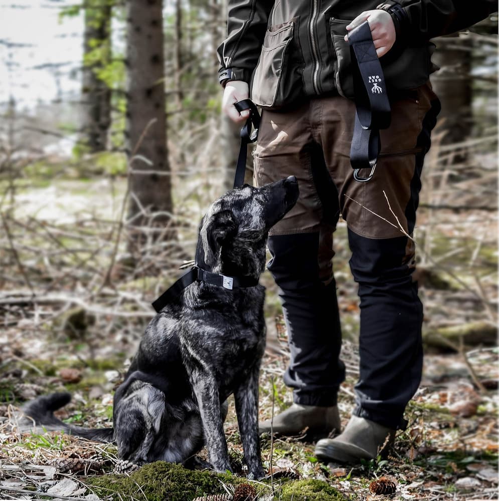 riistan vetonaru, view: 2