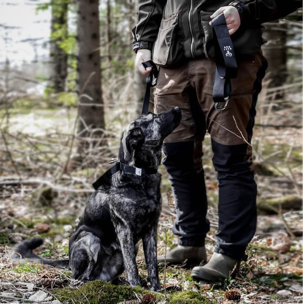 riistan vetonaru, view: 2