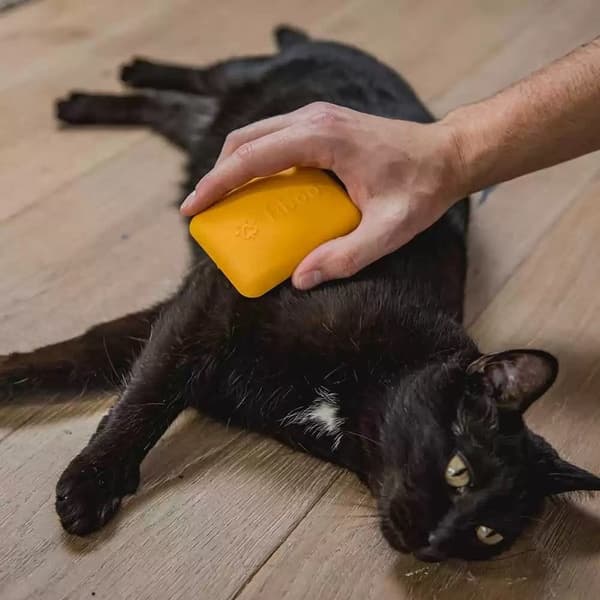 pehmeä harja, view: 2