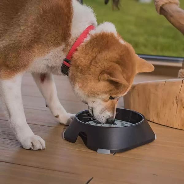 ruokamatto, 15cm, view: 2