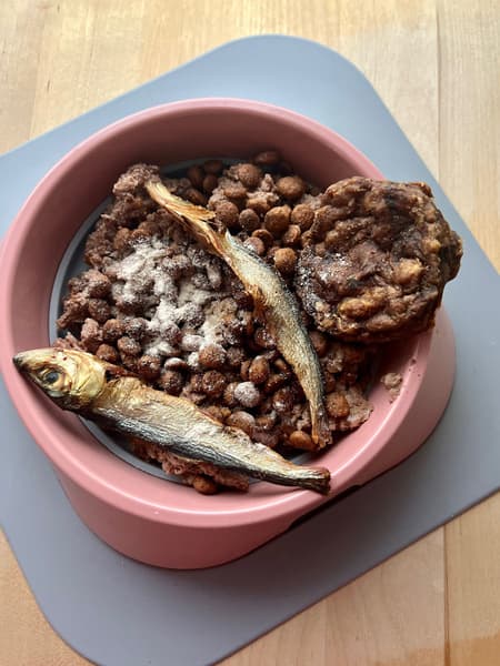 koirankuppi, 700ml, vaaleanpunainen, view: 2