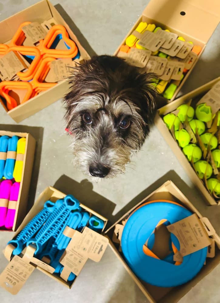 kelluva frisbee, 25 cm, keltainen, view: 3