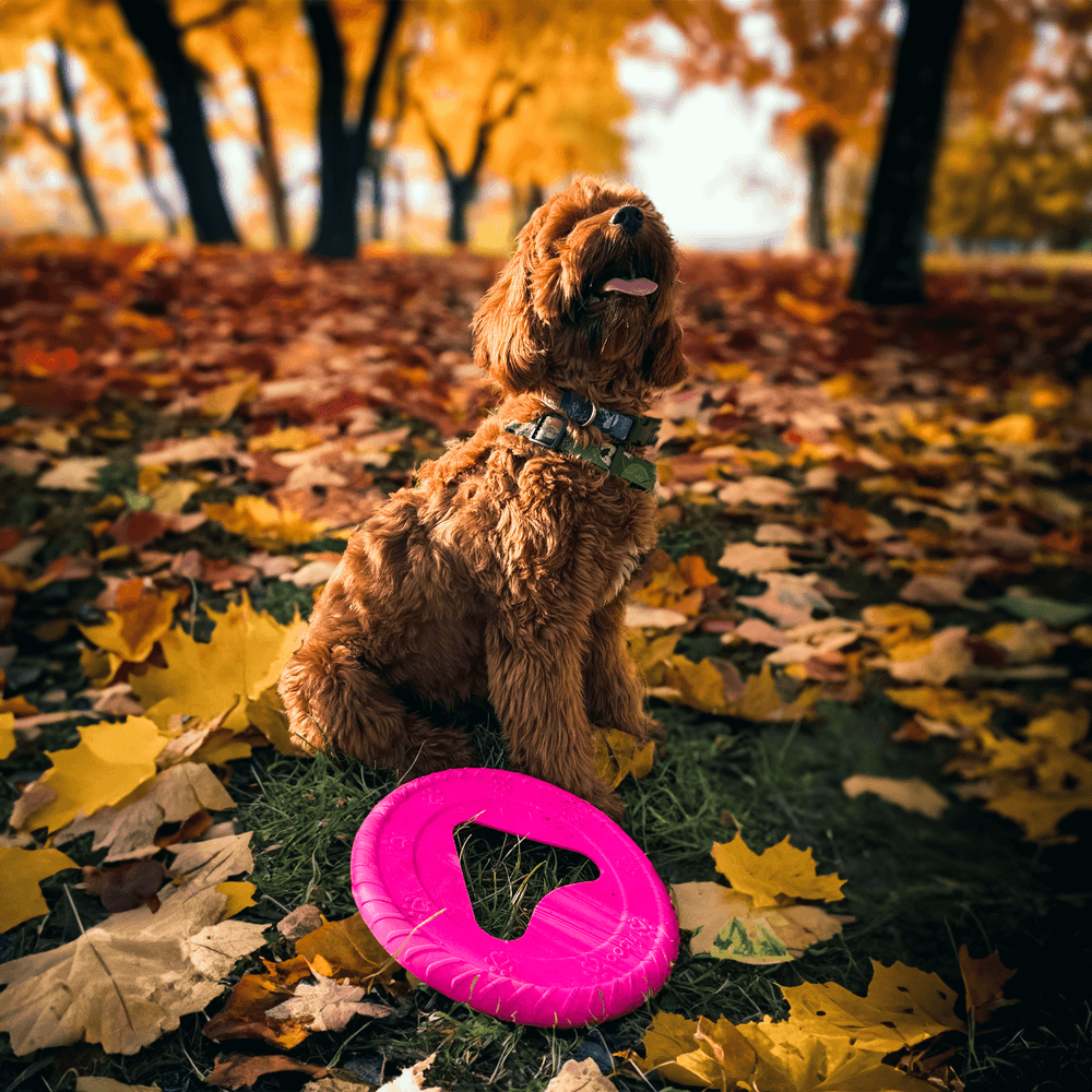 kelluva frisbee, 25 cm, sininen, view: 1