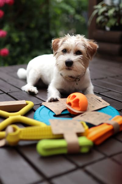 kelluva lelu, 12 cm, vihreä, view: 5